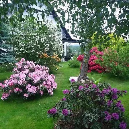 Goscinne U Marka Kostrzyca