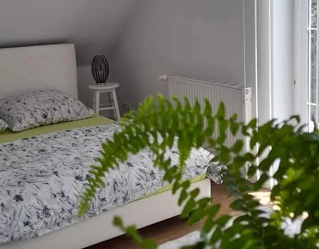 Appartement Goscinne U Marka