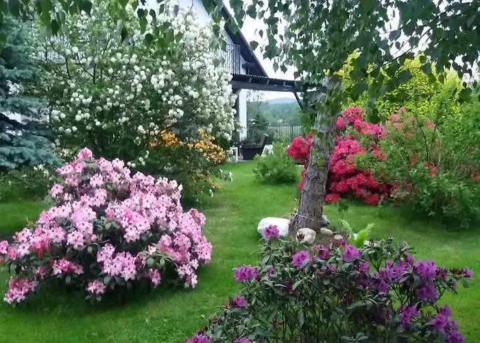 Goscinne U Marka Kostrzyca